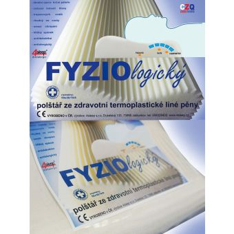 Polštář anatomický FYZIOLOGICKÝ ze zdravotní termoplastické líné pěny, 67x42x12/10cm, se zipem