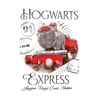 Dětský froté ručník HARRY POTTER BRADAVICKÝ EXPRESS, bílý, 30x50cm