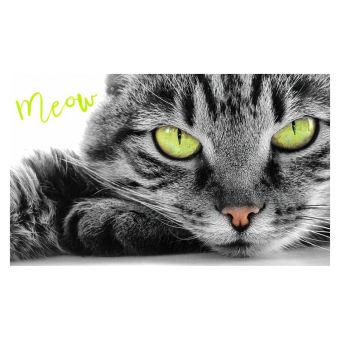 Dětský froté ručník KOCOUREK OSKAR, šedá, digitál, 30x50cm