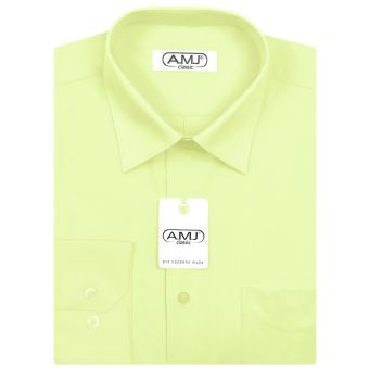 Pánská košile AMJ jednobarevná JD070, světle zelená, dlouhý rukáv, vel. 41