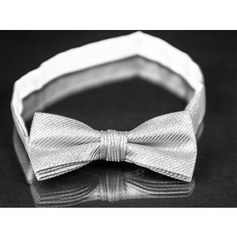 Motýlek pánský AMJ stříbrný vzor MP032