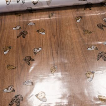 Ubrus PVC průhledný 4W2/10, hnědý motýl, š.140cm (metráž)