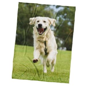 Dětská deka z mikrovlákna (coral fleece) PES ZLATÝ RETRÍVR, zelená, 150x200cm