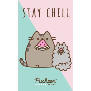 Dětský froté ručník KOČIČKA PUSHEEN STAY CHIL, mentolovo-růžová 30x50cm