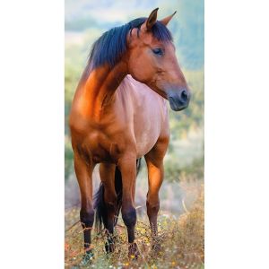 Dětský froté ručník KŮŇ HNĚDÁK NA LOUCE, hnědá, digitál, 30x50cm