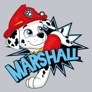 Magický dětský froté ručník TLAPKOVÁ PATROLA  MARSHALL, šedý, 30x30cm