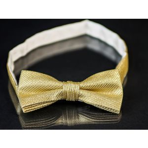 Motýlek pánský AMJ zlato stříbrný vzor MP027